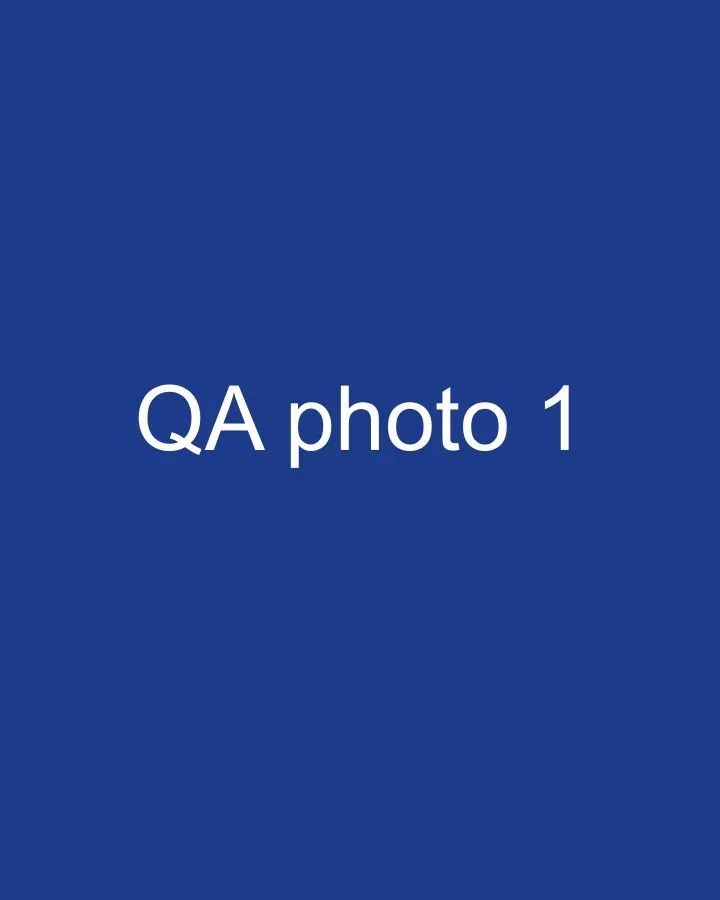 QA Test Singer